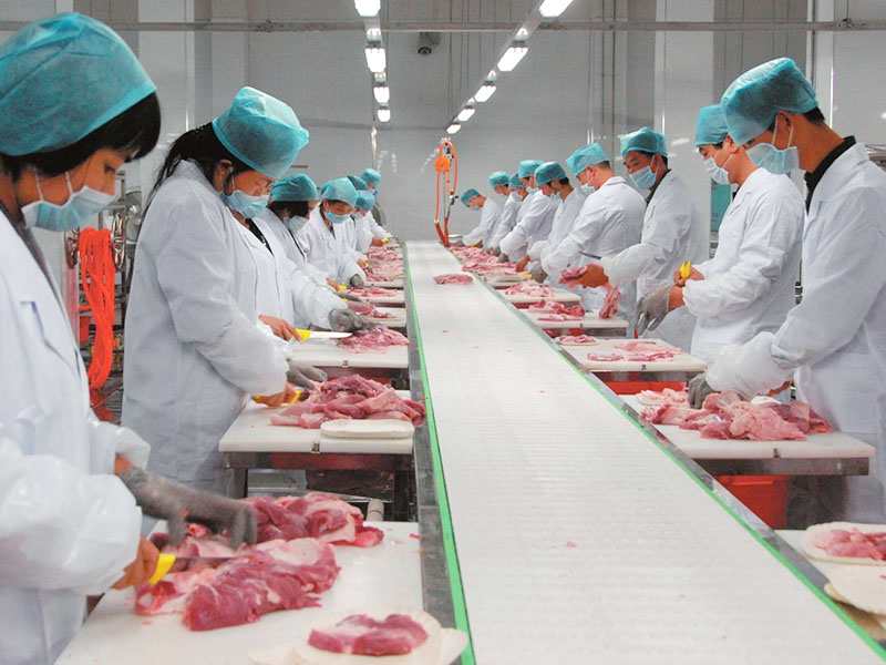 潔凈廠房設計規范有多少條？